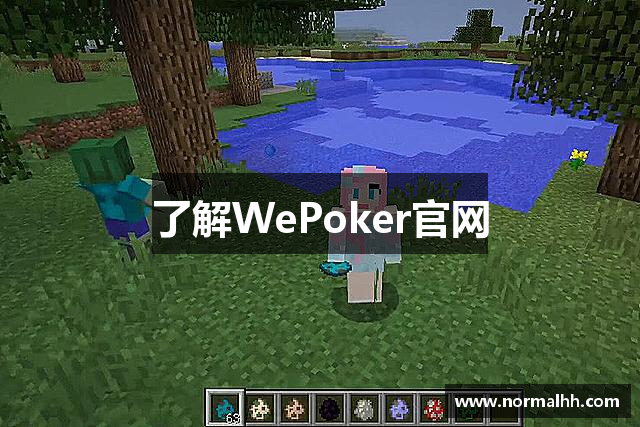 玩家攻略“wepoker系统规律”助赢开挂器（安装教程）-第1张图片