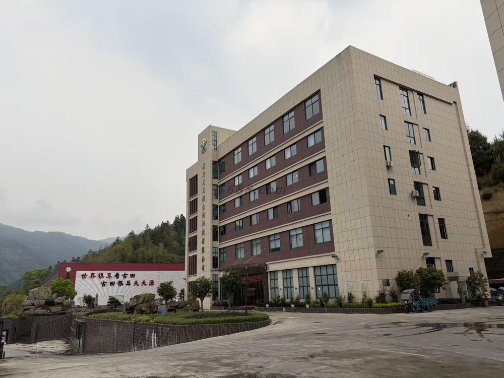 玩家攻略“天天福建十三张怎么才会赢”外卦神器下载安装-第3张图片