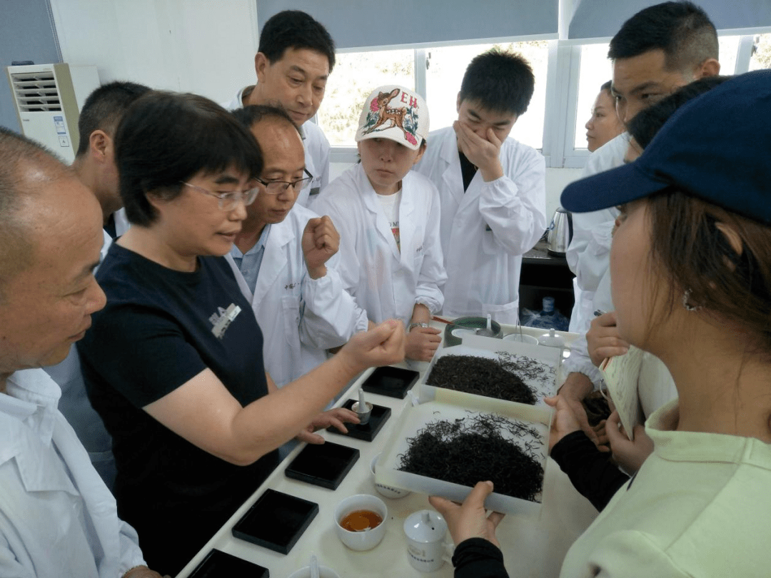 科普实测“天天福建十三张是不是有挂”开挂通用版（必备神器）-第2张图片