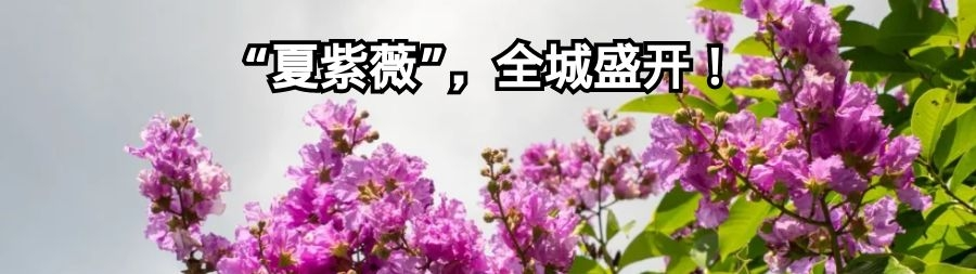 「厦门18例本土确诊」〃厦门18例本土确诊病例-第2张图片