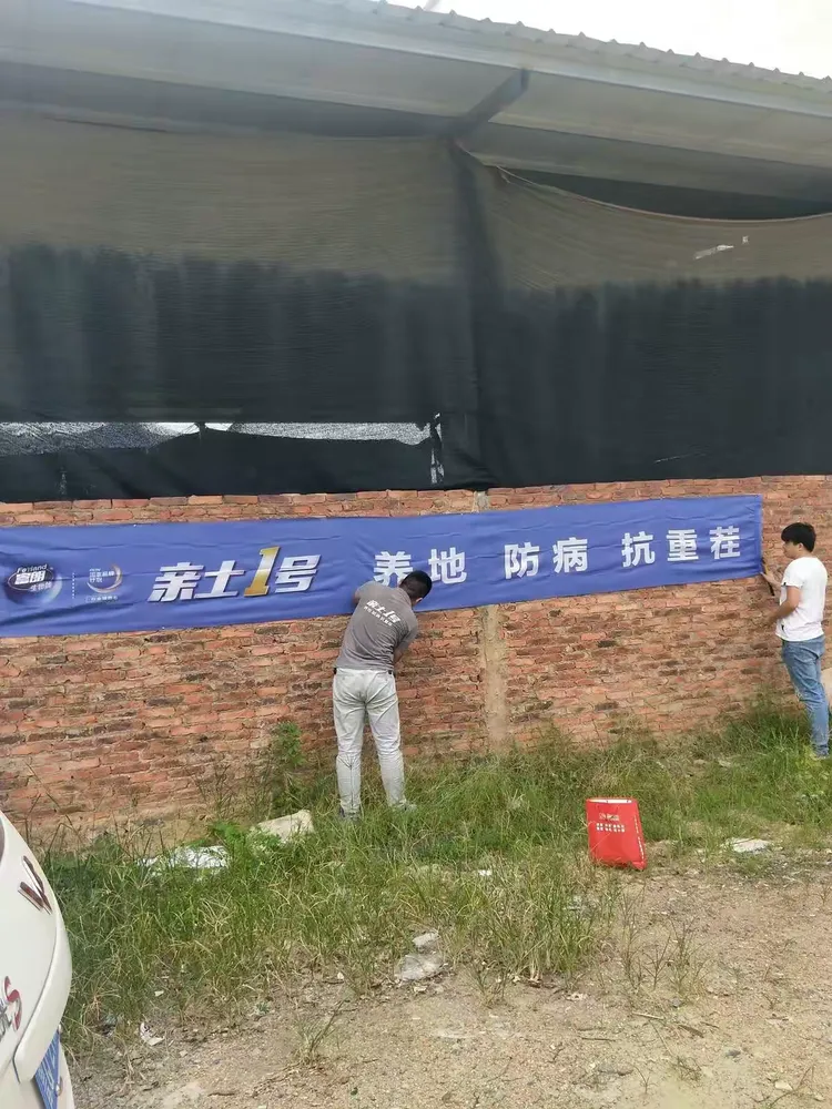 【沈阳一号病例去世/沈阳一号病例死了】-第2张图片